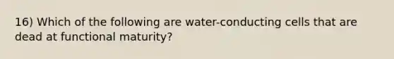 16) Which of the following are water-conducting cells that are dead at functional maturity?