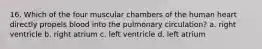 16. Which of the four muscular chambers of the human heart directly propels blood into the pulmonary circulation? a. right ventricle b. right atrium c. left ventricle d. left atrium