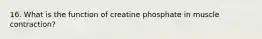 16. What is the function of creatine phosphate in muscle contraction?