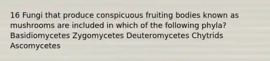 16 Fungi that produce conspicuous fruiting bodies known as mushrooms are included in which of the following phyla? Basidiomycetes Zygomycetes Deuteromycetes Chytrids Ascomycetes