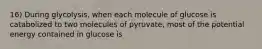 16) During glycolysis, when each molecule of glucose is catabolized to two molecules of pyruvate, most of the potential energy contained in glucose is