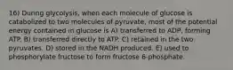 16) During glycolysis, when each molecule of glucose is catabolized to two molecules of pyruvate, most of the potential energy contained in glucose is A) transferred to ADP, forming ATP. B) transferred directly to ATP. C) retained in the two pyruvates. D) stored in the NADH produced. E) used to phosphorylate fructose to form fructose 6-phosphate.