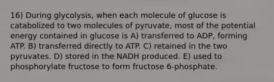 16) During glycolysis, when each molecule of glucose is catabolized to two molecules of pyruvate, most of the potential energy contained in glucose is A) transferred to ADP, forming ATP. B) transferred directly to ATP. C) retained in the two pyruvates. D) stored in the NADH produced. E) used to phosphorylate fructose to form fructose 6-phosphate.