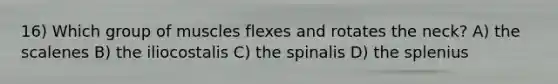 16) Which group of muscles flexes and rotates the neck? A) the scalenes B) the iliocostalis C) the spinalis D) the splenius