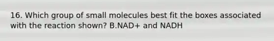 16. Which group of small molecules best fit the boxes associated with the reaction shown? B.NAD+ and NADH