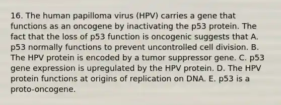 16. The human papilloma virus (HPV) carries a gene that functions as an oncogene by inactivating the p53 protein. The fact that the loss of p53 function is oncogenic suggests that A. p53 normally functions to prevent uncontrolled cell division. B. The HPV protein is encoded by a tumor suppressor gene. C. p53 gene expression is upregulated by the HPV protein. D. The HPV protein functions at origins of replication on DNA. E. p53 is a proto-oncogene.