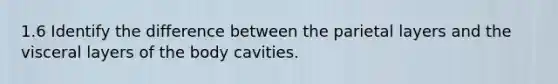 1.6 Identify the difference between the parietal layers and the visceral layers of the body cavities.