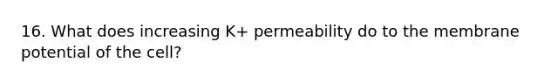 16. What does increasing K+ permeability do to the membrane potential of the cell?