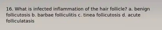 16. What is infected inflammation of the hair follicle? a. benign follicutosis b. barbae folliculitis c. tinea follicutosis d. acute folliculatasis