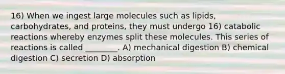 16) When we ingest large molecules such as lipids, carbohydrates, and proteins, they must undergo 16) catabolic reactions whereby enzymes split these molecules. This series of reactions is called ________. A) mechanical digestion B) chemical digestion C) secretion D) absorption