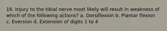 16. Injury to the tibial nerve most likely will result in weakness of which of the following actions? a. Dorsiflexion b. Plantar flexion c. Eversion d. Extension of digits 1 to 4