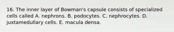 16. The inner layer of Bowman's capsule consists of specialized cells called A. nephrons. B. podocytes. C. nephrocytes. D. juxtamedullary cells. E. macula densa.