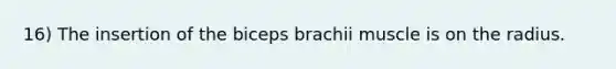 16) The insertion of the biceps brachii muscle is on the radius.