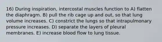 16) During inspiration, intercostal muscles function to A) flatten the diaphragm. B) pull the rib cage up and out, so that lung volume increases. C) constrict the lungs so that intrapulmonary pressure increases. D) separate the layers of pleural membranes. E) increase blood flow to lung tissue.