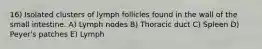 16) Isolated clusters of lymph follicles found in the wall of the small intestine. A) Lymph nodes B) Thoracic duct C) Spleen D) Peyer's patches E) Lymph