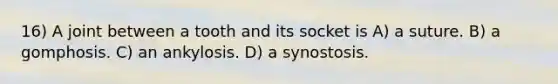 16) A joint between a tooth and its socket is A) a suture. B) a gomphosis. C) an ankylosis. D) a synostosis.