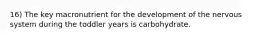 16) The key macronutrient for the development of the nervous system during the toddler years is carbohydrate.