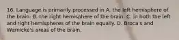 16. Language is primarily processed in A. the left hemisphere of the brain. B. the right hemisphere of the brain. C. in both the left and right hemispheres of the brain equally. D. Broca's and Wernicke's areas of the brain.