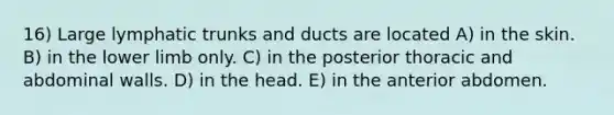 16) Large lymphatic trunks and ducts are located A) in the skin. B) in the lower limb only. C) in the posterior thoracic and abdominal walls. D) in the head. E) in the anterior abdomen.