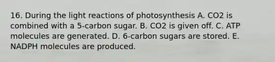 16. During the light reactions of photosynthesis A. CO2 is combined with a 5-carbon sugar. B. CO2 is given off. C. ATP molecules are generated. D. 6-carbon sugars are stored. E. NADPH molecules are produced.