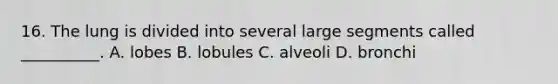 16. The lung is divided into several large segments called __________. A. lobes B. lobules C. alveoli D. bronchi