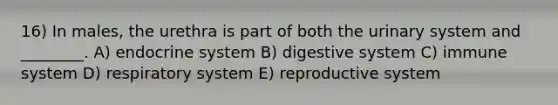 16) In males, the urethra is part of both the urinary system and ________. A) endocrine system B) digestive system C) immune system D) respiratory system E) reproductive system