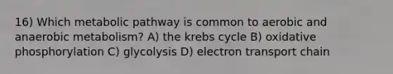 16) Which metabolic pathway is common to aerobic and anaerobic metabolism? A) the krebs cycle B) oxidative phosphorylation C) glycolysis D) electron transport chain