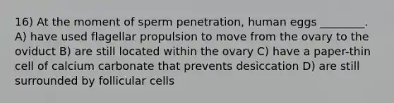 16) At the moment of sperm penetration, human eggs ________. A) have used flagellar propulsion to move from the ovary to the oviduct B) are still located within the ovary C) have a paper-thin cell of calcium carbonate that prevents desiccation D) are still surrounded by follicular cells