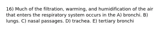 16) Much of the filtration, warming, and humidification of the air that enters the respiratory system occurs in the A) bronchi. B) lungs. C) nasal passages. D) trachea. E) tertiary bronchi