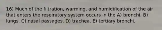 16) Much of the filtration, warming, and humidification of the air that enters the respiratory system occurs in the A) bronchi. B) lungs. C) nasal passages. D) trachea. E) tertiary bronchi.