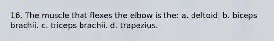 16. The muscle that flexes the elbow is the: a. deltoid. b. biceps brachii. c. triceps brachii. d. trapezius.