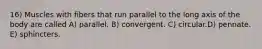 16) Muscles with fibers that run parallel to the long axis of the body are called A) parallel. B) convergent. C) circular.D) pennate. E) sphincters.