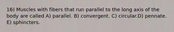 16) Muscles with fibers that run parallel to the long axis of the body are called A) parallel. B) convergent. C) circular.D) pennate. E) sphincters.