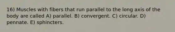 16) Muscles with fibers that run parallel to the long axis of the body are called A) parallel. B) convergent. C) circular. D) pennate. E) sphincters.