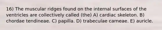 16) The muscular ridges found on the internal surfaces of the ventricles are collectively called (the) A) cardiac skeleton. B) chordae tendineae. C) papilla. D) trabeculae carneae. E) auricle.