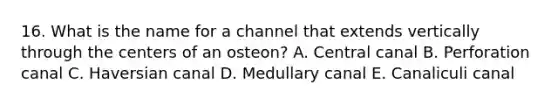 16. What is the name for a channel that extends vertically through the centers of an osteon? A. Central canal B. Perforation canal C. Haversian canal D. Medullary canal E. Canaliculi canal