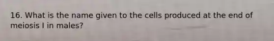 16. What is the name given to the cells produced at the end of meiosis I in males?