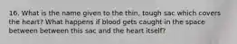 16. What is the name given to the thin, tough sac which covers the heart? What happens if blood gets caught in the space between between this sac and the heart itself?