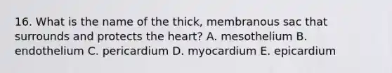 16. What is the name of the thick, membranous sac that surrounds and protects the heart? A. mesothelium B. endothelium C. pericardium D. myocardium E. epicardium