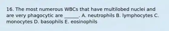 16. The most numerous WBCs that have multilobed nuclei and are very phagocytic are ______. A. neutrophils B. lymphocytes C. monocytes D. basophils E. eosinophils