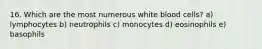 16. Which are the most numerous white blood cells? a) lymphocytes b) neutrophils c) monocytes d) eosinophils e) basophils