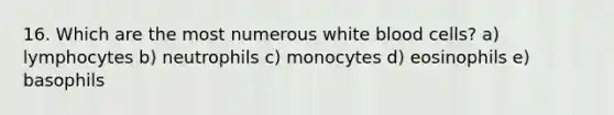 16. Which are the most numerous white blood cells? a) lymphocytes b) neutrophils c) monocytes d) eosinophils e) basophils