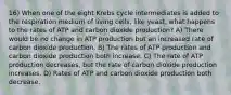 16) When one of the eight Krebs cycle intermediates is added to the respiration medium of living cells, like yeast, what happens to the rates of ATP and carbon dioxide production? A) There would be no change in ATP production but an increased rate of carbon dioxide production. B) The rates of ATP production and carbon dioxide production both increase. C) The rate of ATP production decreases, but the rate of carbon dioxide production increases. D) Rates of ATP and carbon dioxide production both decrease.