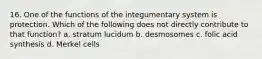 16. One of the functions of the integumentary system is protection. Which of the following does not directly contribute to that function? a. stratum lucidum b. desmosomes c. folic acid synthesis d. Merkel cells