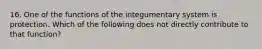 16. One of the functions of the integumentary system is protection. Which of the following does not directly contribute to that function?