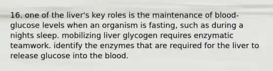 16. one of the liver's key roles is the maintenance of blood-glucose levels when an organism is fasting, such as during a nights sleep. mobilizing liver glycogen requires enzymatic teamwork. identify the enzymes that are required for the liver to release glucose into the blood.