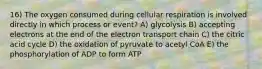 16) The oxygen consumed during cellular respiration is involved directly in which process or event? A) glycolysis B) accepting electrons at the end of the electron transport chain C) the citric acid cycle D) the oxidation of pyruvate to acetyl CoA E) the phosphorylation of ADP to form ATP