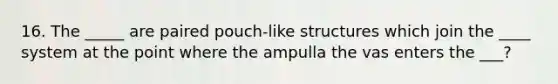 16. The _____ are paired pouch-like structures which join the ____ system at the point where the ampulla the vas enters the ___?