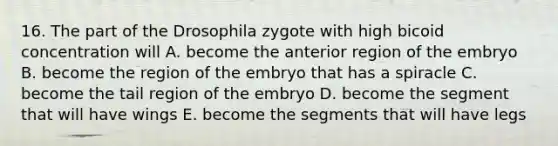 16. The part of the Drosophila zygote with high bicoid concentration will A. become the anterior region of the embryo B. become the region of the embryo that has a spiracle C. become the tail region of the embryo D. become the segment that will have wings E. become the segments that will have legs