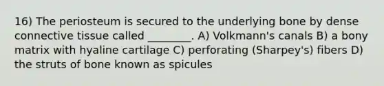 16) The periosteum is secured to the underlying bone by dense <a href='https://www.questionai.com/knowledge/kYDr0DHyc8-connective-tissue' class='anchor-knowledge'>connective tissue</a> called ________. A) Volkmann's canals B) a bony matrix with hyaline cartilage C) perforating (Sharpey's) fibers D) the struts of bone known as spicules